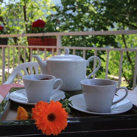 Apartman Vesna Virpazar Luaran gambar