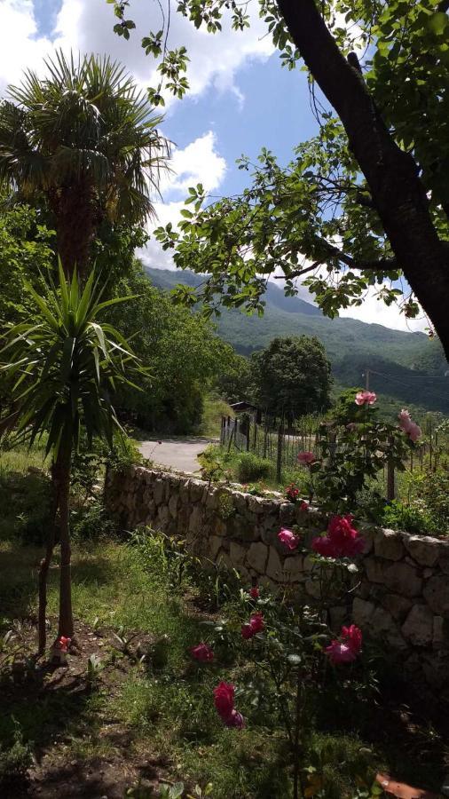 Apartman Vesna Virpazar Luaran gambar