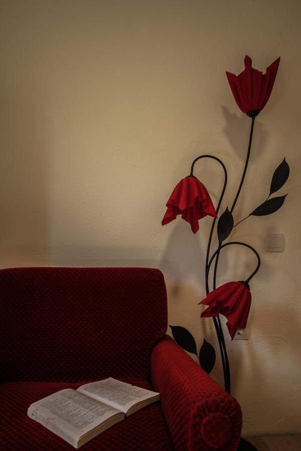 Apartman Vesna Virpazar Luaran gambar